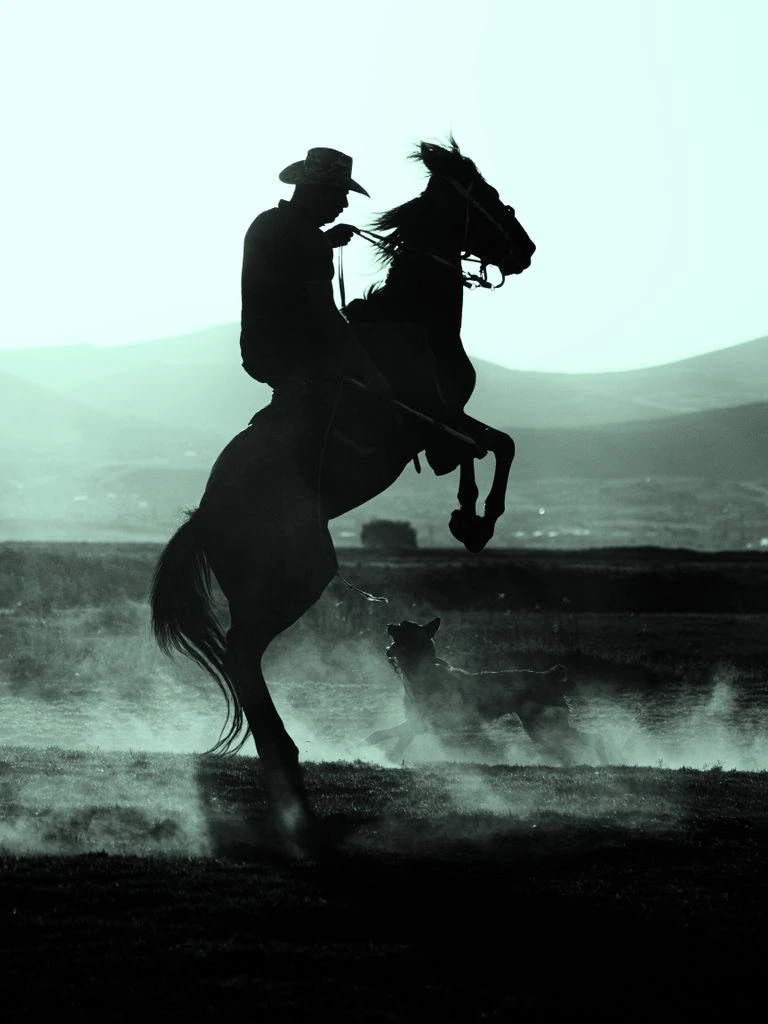 Lone cowboy on desert highway at golden hour